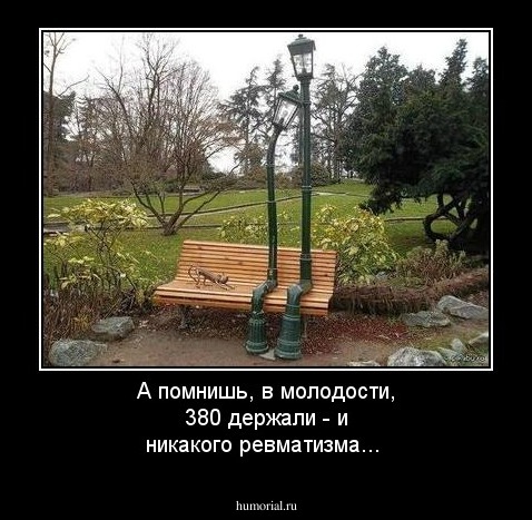 А помнишь, в молодости, 380 держали - и никакого ревматизма... 