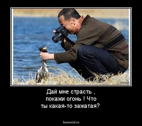 Дай мне страсть , покажи огонь ! Что ты какая-то зажатая?