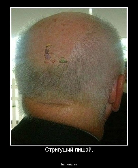 Стригущий лишай.