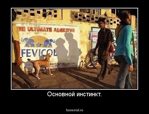 Основной инстинкт.