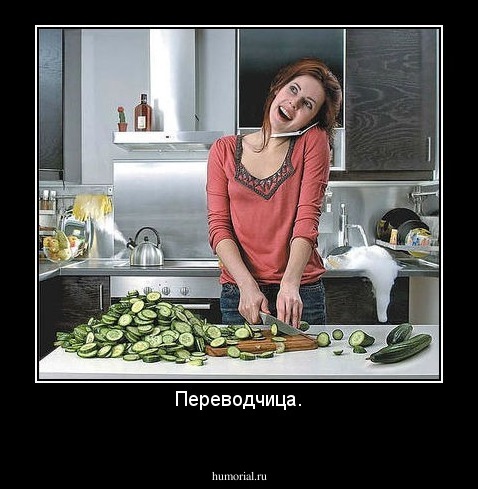 Переводчица.
