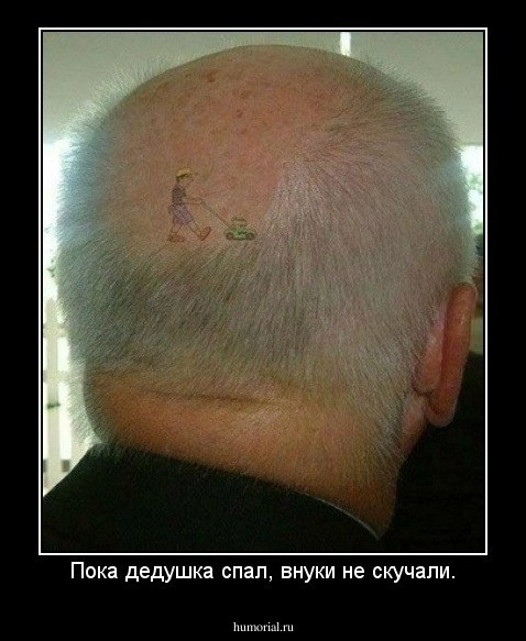 Пока дедушка спал, внуки не скучали.