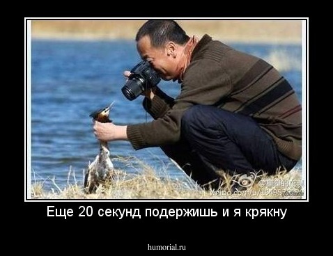 Еще 20 секунд подержишь и я крякну