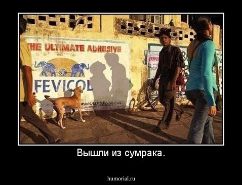Вышли из сумрака.