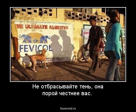 Не отбрасывайте тень, она порой честнее вас.