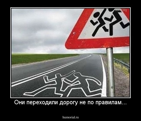 Они переходили дорогу не по правилам...