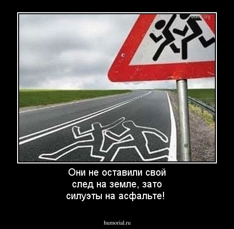 Они  не оставили свой след на земле, зато силуэты   на асфальте!