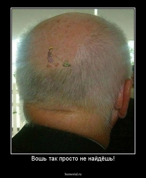 Вошь так просто не найдёшь!