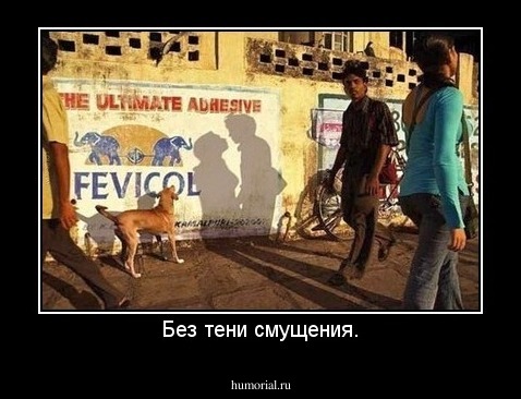Без тени смущения.