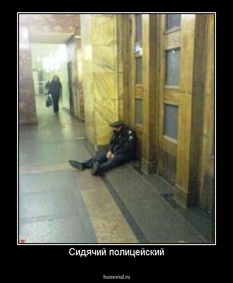 Сидячий полицейский