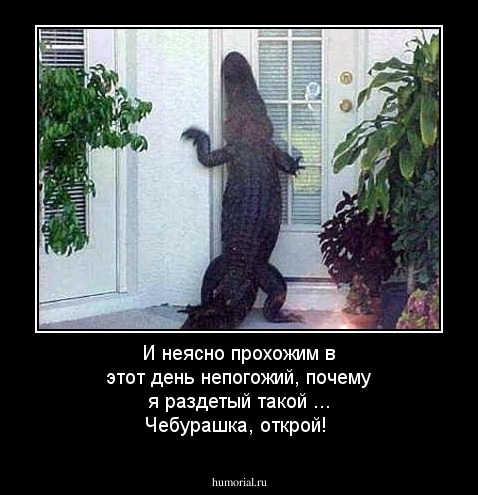  И неясно прохожим в этот день непогожий, почему я раздетый такой ... Чебурашка, открой!