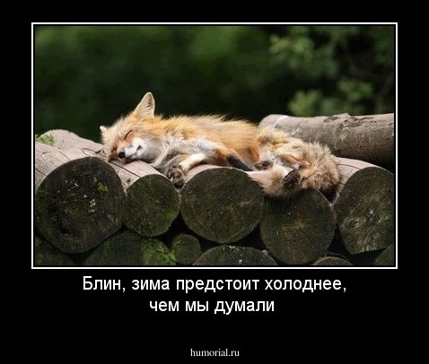 Блин, зима предстоит холоднее, чем мы думали