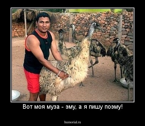 Вот моя муза - эму, а я пишу поэму!