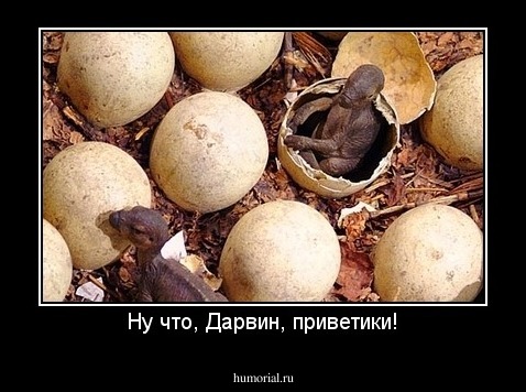 Ну что, Дарвин, приветики!