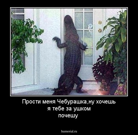 Прости меня Чебурашка,ну хочешь я тебе за ушком почешу