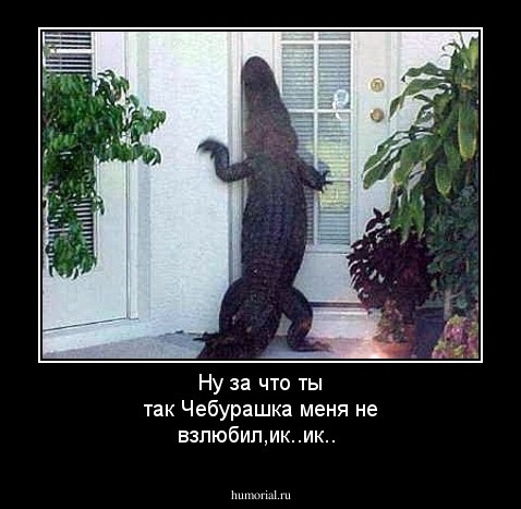Ну за что ты так Чебурашка меня не взлюбил,ик..ик..