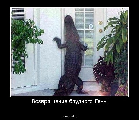 Возвращение блудного Гены