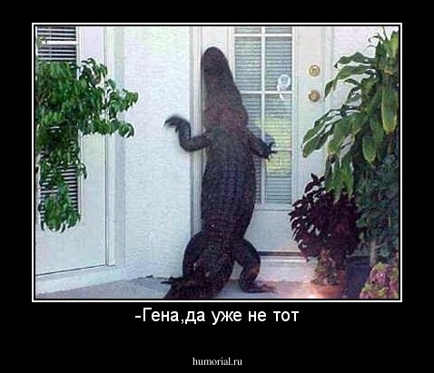 -Гена,да уже не тот
