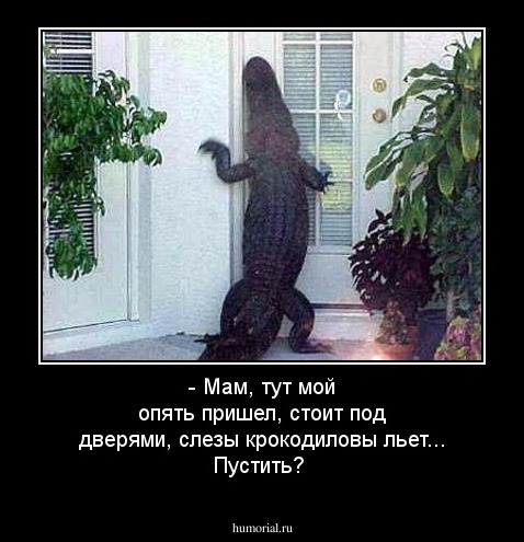 - Мам, тут мой опять пришел, стоит под дверями, слезы крокодиловы льет... Пустить?