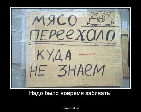 Надо было вовремя забивать!