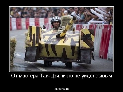 От мастера Тай-Цзи,никто не уйдет живым