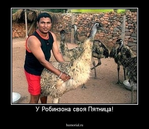 У Робинзона своя Пятница!