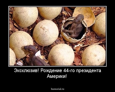 Эксклюзив! Рождение 44-го президента Америки!