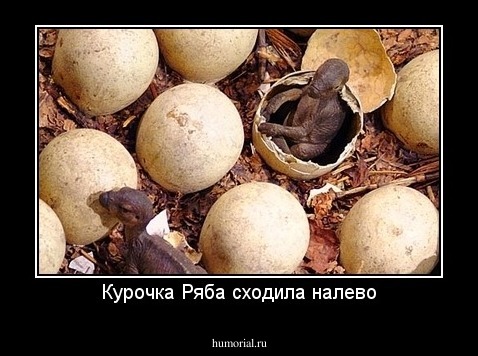 Курочка Ряба сходила налево