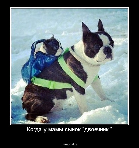 Когда у мамы сынок "двоечник "