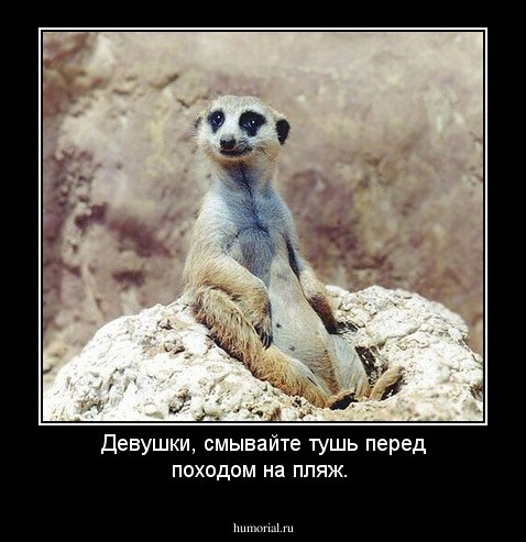 Девушки, смывайте тушь перед походом на пляж.