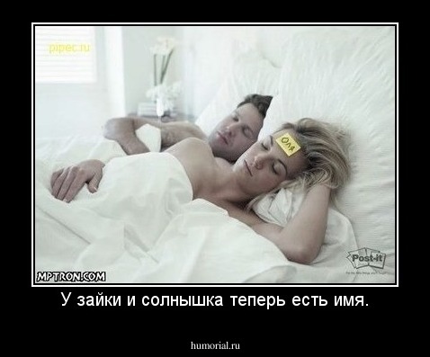 У зайки и солнышка теперь есть имя.