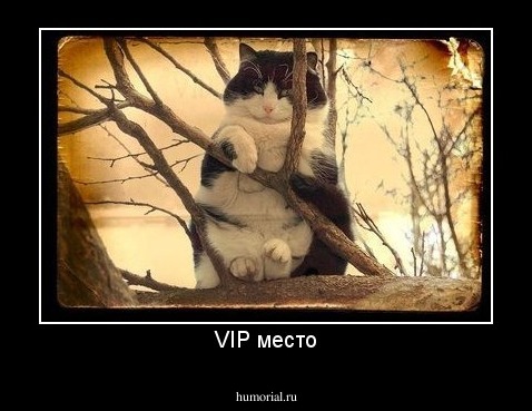 VIP место