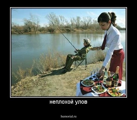 неплохой улов