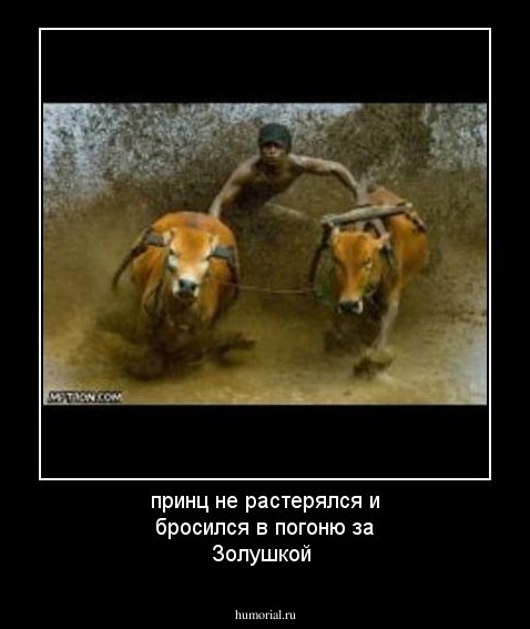 принц не растерялся и бросился в погоню за Золушкой