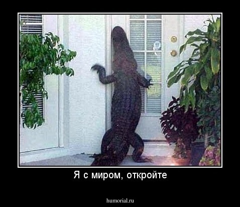 Я с миром, откройте