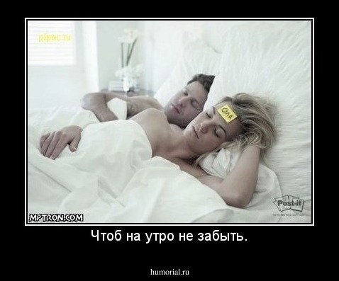 Чтоб на утро не забыть.