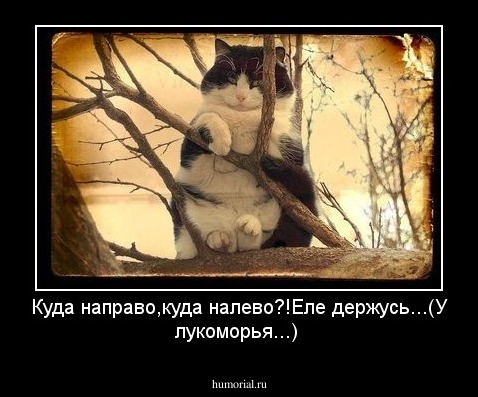 Куда направо,куда налево?!Еле держусь...(У лукоморья...)