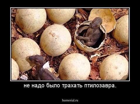 не надо было трахать птилозавра.