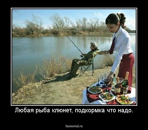 Любая рыба клюнет, подкормка что надо.