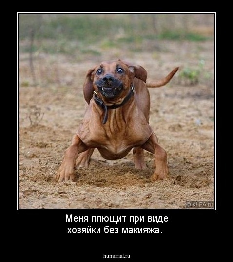 Меня плющит при виде хозяйки без макияжа.