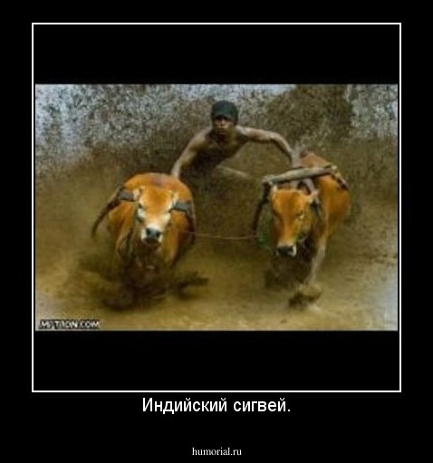 Индийский сигвей.