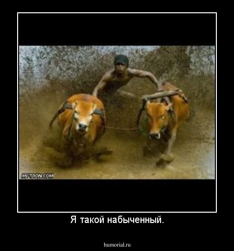 Я такой набыченный.