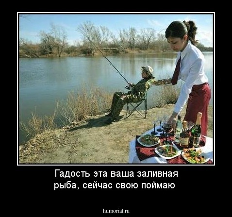 Гадость эта ваша заливная рыба, сейчас свою поймаю