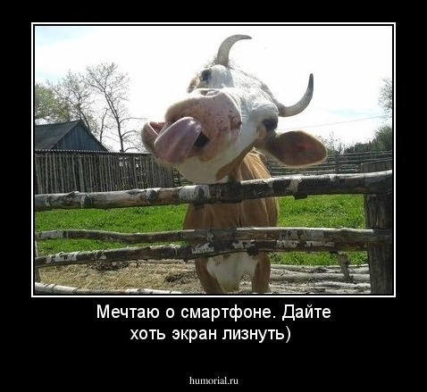 Мечтаю о смартфоне. Дайте хоть экран лизнуть)