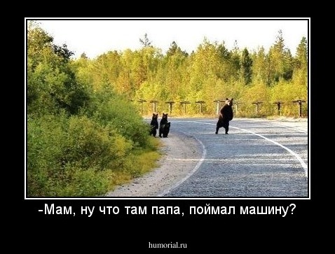 -Мам, ну что там папа, поймал машину?