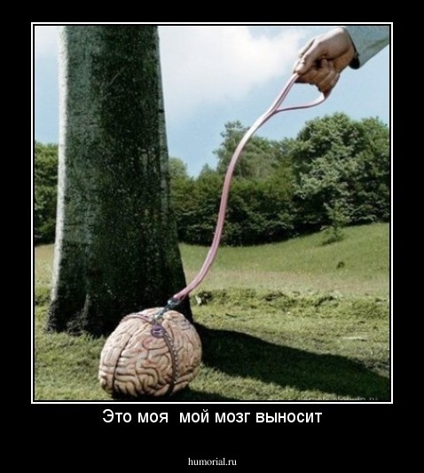 Это моя мозг выносит