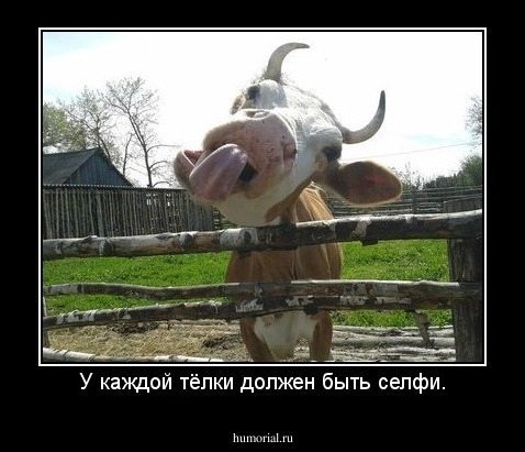 У каждой тёлки должен быть селфи.