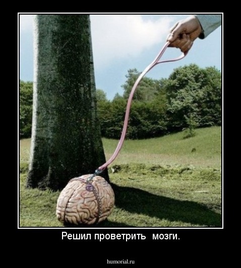 Решил проветрить  мозги.