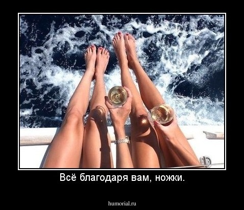 Всё благодаря вам, ножки.