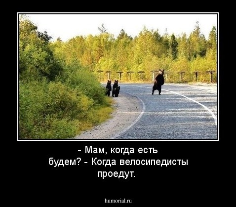 - Мам, когда есть будем?
- Когда велосипедисты проедут.